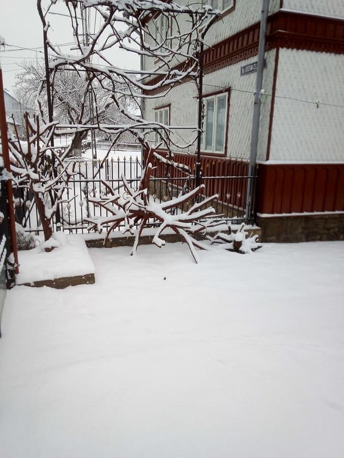 Pensiunea Casa Rodica Gura Humorului Exterior foto